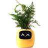 EcoCare Smart Ivy Plant-TotsCove